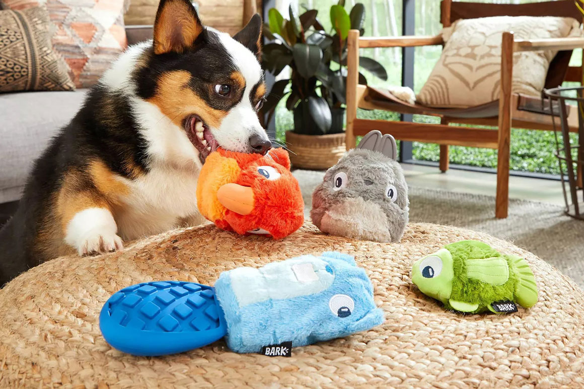 اسباب-بازی‌ها-و-حیوانات-خانگی