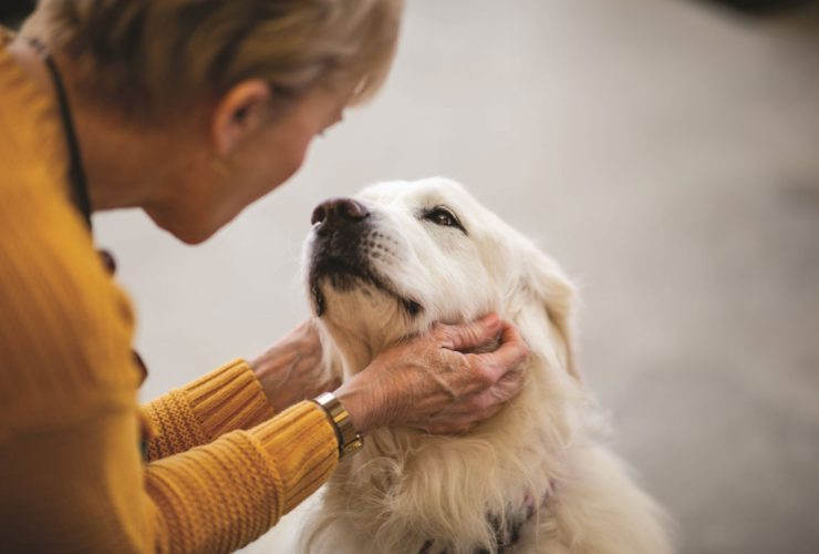 Pet-mental-health